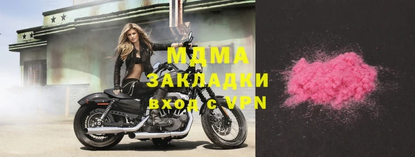 дживик Инта