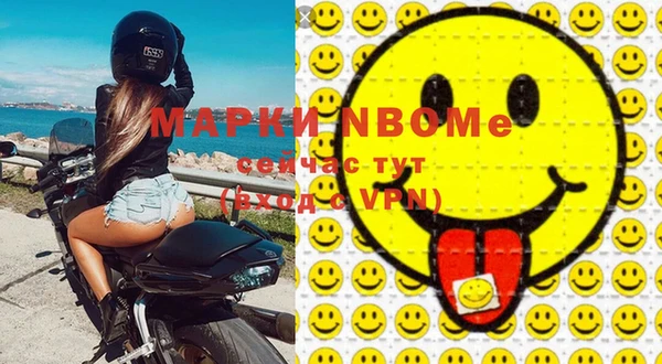 дживик Инта