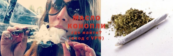 дживик Инта