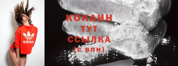 дживик Инта