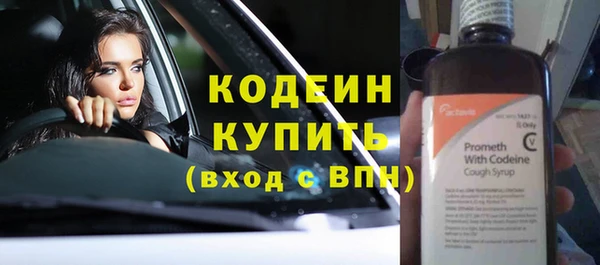 дживик Инта
