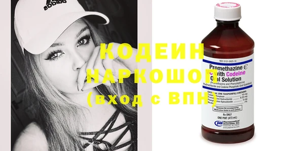 ГАЛЛЮЦИНОГЕННЫЕ ГРИБЫ Каменка