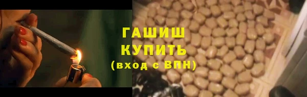 дживик Инта