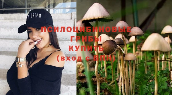 a pvp Иннополис