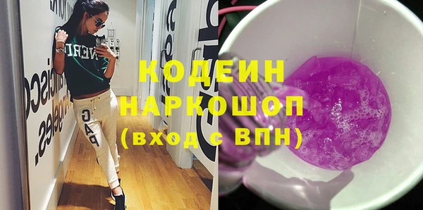 дживик Инта
