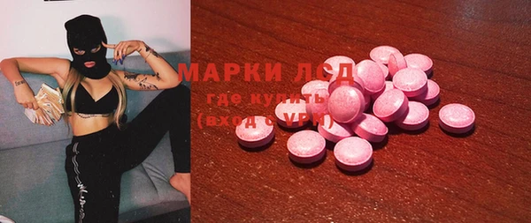 дживик Инта
