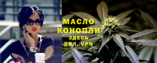 дживик Инта