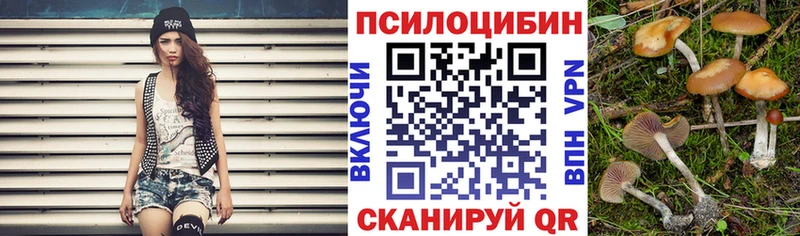 Галлюциногенные грибы прущие грибы  Купить закладки  Красный Сулин 